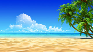 Palm tree sandy beach blue - illustration free wallpaper