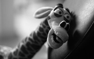 Stuffed animal peeking chair armrest - arm free wallpaper