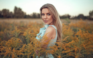 Flower field woman blue dress - a field of flowers free wallpaper