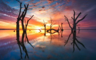 Sunset trees reflection clouds magic - a sunset free wallpaper