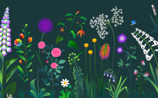 Flower butterflies happybirthday chiho aoshima - the middle of the picture free wallpaper