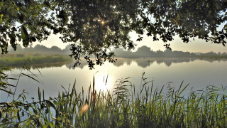 Lake forest branch sunset impressionism - impressionism free wallpaper