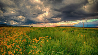 Flower field fence cloudy sky - bob thompson free wallpaper
