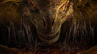 Alligator fire background monster sharp - a large head free wallpaper