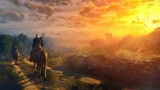 Man horse woman forest sunset - a horse next free wallpaper