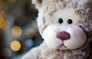 Teddy bear close up blurry - aloysius okelly free wallpaper