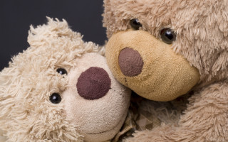 Brown tan stuffed animals close - the other free wallpaper