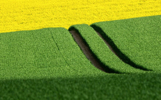 Green field shadow tiltshift landart - a green field free wallpaper