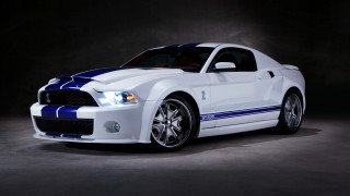 White blue mustang dark room 2 - a spotlight free wallpaper