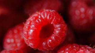 Raspberries water droplets macro photorealism 2 - berry free wallpaper
