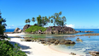 Beach rock palm trees sky - clear blue water free wallpaper