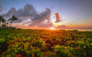 Sunset field clouds dusk nature - the distance free wallpaper