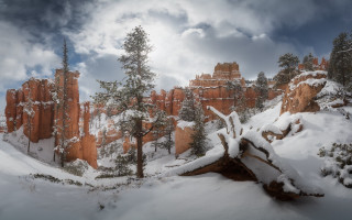 Snowy landscape trees rocks cloudy - the cloud free wallpaper