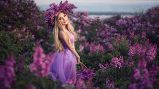Purple dress flower field magic - a purple hat free wallpaper