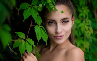 Woman leaf head green background - a green plant free wallpaper