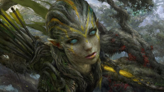 Woman tree bird blue eyes - clint cearley free wallpaper