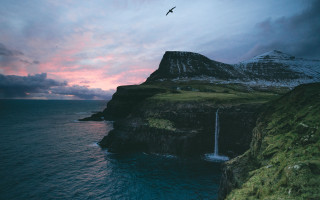 Bird waterfall ocean sunset landscape - the top free wallpaper