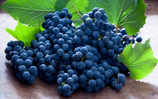 Grapes leaves plant outdoors rain - a leafy plant free wallpaper