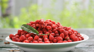 Frozen berries leaf outdoor blurry - a bowl free wallpaper