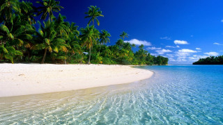 Beach palm trees clear water 2 - clear water free wallpaper