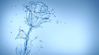 Rose drop water star blue - a rose free wallpaper