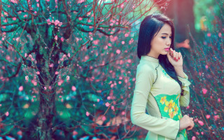 Woman tree pinkflowers green dress - ding guanpeng free wallpaper