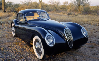 Black car cactus field kodachrome - a field next free wallpaper