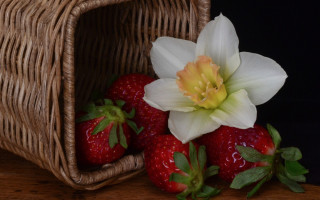 Strawberries flower berry food stilllife - a still life free wallpaper