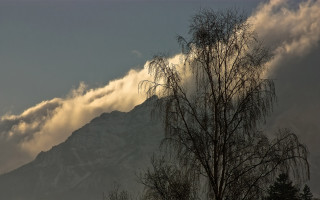 Mountain mist cloud trees sunset - the foreground free wallpaper