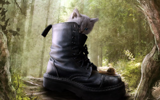Kitten in boot forest sunlight - a kitten free wallpaper