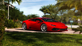 Red sports car brick road 6 - palm tree free wallpaper