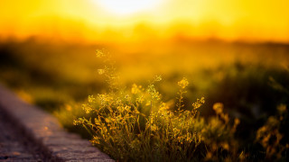 Sunset field road fire embers - the sun free wallpaper for desktop