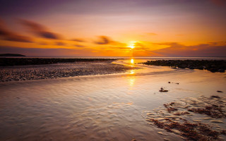 Sunset beach water bird rocky - the air above free wallpaper