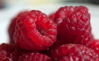 Raspberries water droplets macro photorealism 3 - raspberry free wallpaper