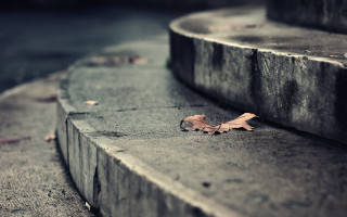 Leaf park bench sidewalk tiltshift - a leaf free wallpaper