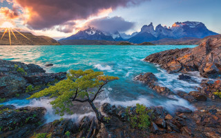 Tree water rocks mountains sunset - a sunset in the background free wallpaper