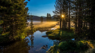 River fog sunset trees water - ansel adams free wallpaper