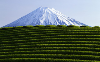 Large green hill snow capped - mountain in the background free wallpaper