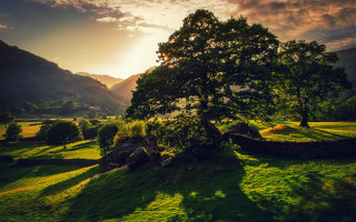 Tree field mountains sunset nature 2 - beautiful free wallpaper for desktop