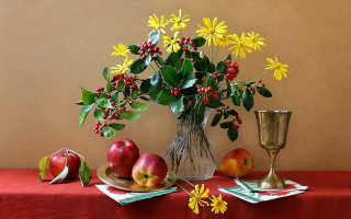 Flower fruit stilllife anne rigney - anne rigney free wallpaper