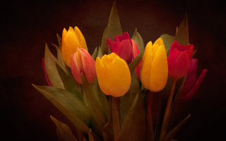 Flowers vase table dark background - color free wallpaper