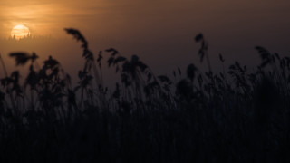 Sunset foggy sky tallgrass building - a sunset free wallpaper