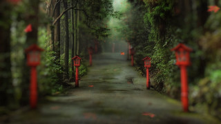 Woodland path red mailboxes torii - both side free wallpaper