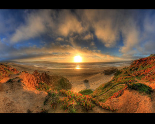 Sunset sandy beach grass bushes - sandy free wallpaper