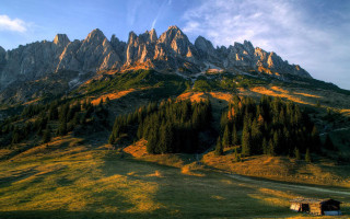 Mountain house grassy field trees 2 - a grassy field below free wallpaper