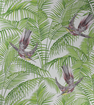 Bird palm leaves flying nature - naturalism free wallpaper