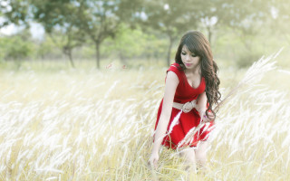 Red dress woman field butterfly - tall grass free wallpaper