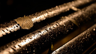 Metal structure rain drops leaf - top of it free wallpaper