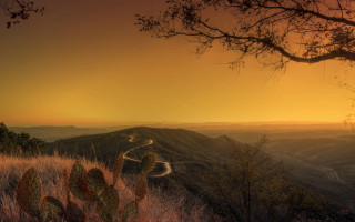Sunset road mountain cactus tree - art photography free wallpaper for desktop