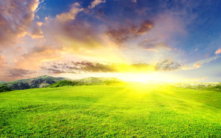 Sunny green mountains fence forest - a mountain in the distance free wallpaper